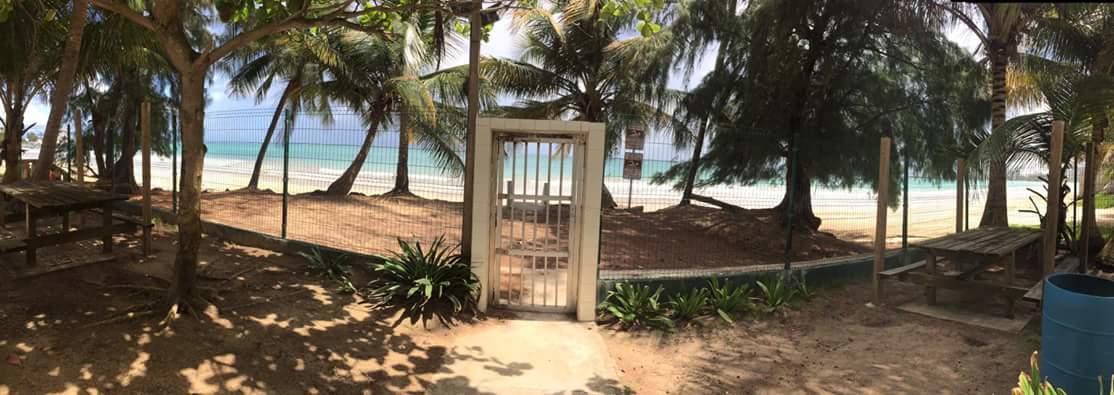 Beach Front Apt Isla Verde 2 Daire San Juan Dış mekan fotoğraf